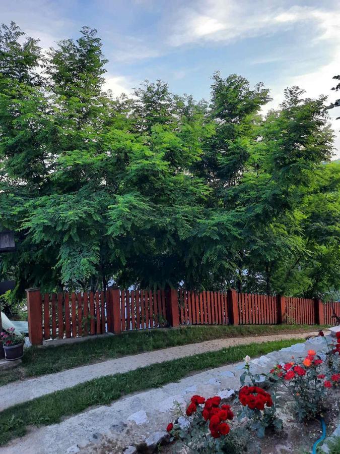 Mrdja Apartments Kolašin Exterior foto