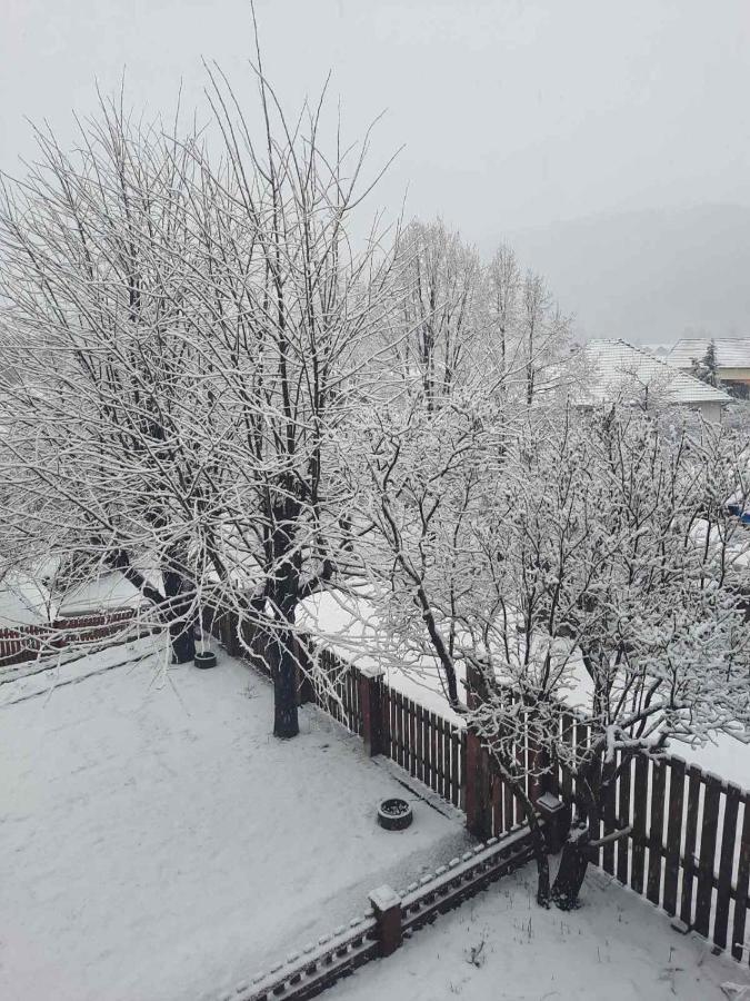 Mrdja Apartments Kolašin Exterior foto